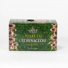 GREŠÍK ČAJ ŠTYROCH SVETADIELOV - Zelený čaj s echinaceou, 20x1,5g